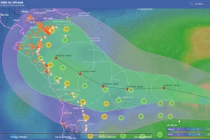 Còn gần 500 tàu, thuyền nằm trong vùng nguy hiểm của bão Conson