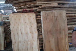 Việt Nam và Mỹ đạt thỏa thuận về cuộc điều tra liên quan đến gỗ 