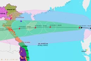 Bão số 8 dự báo khi vào đất liền giật cấp 10