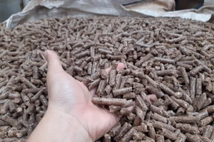 Phụ phẩm bỏ đi bất ngờ mang về cho Việt Nam 350 triệu USD/năm