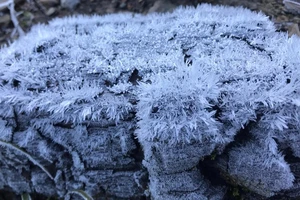 Miền Bắc bước vào đợt rét sâu nhất từ đầu mùa