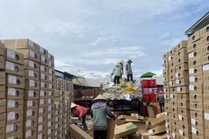 Hàng triệu cành hoa Đà Lạt thoát nguy cơ làm phân 