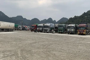 Xuất khẩu hàng sang Trung Quốc: Doanh nghiệp than khó