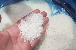 GS Nguyễn Lân Dũng nói về heo mini giá 34 triệu ở Trung Quốc