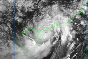 Thủ tướng yêu cầu tập trung ứng phó bão số 1 và mưa lũ