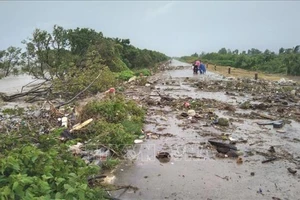 Cảnh báo nguy cơ mất an toàn tuyến đê biển ở Tây Nam bộ