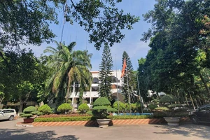 Sau sắp xếp, cơ cấu tổ chức của Bộ NN&PTNT dự kiến ra sao?