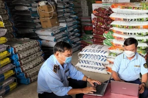 Trộn cả sỉ với đất để làm phân bón giả