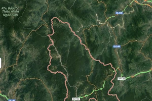 Thủ tướng chỉ đạo khẩn sau 4 trận động đất liên tiếp tại Kon Tum