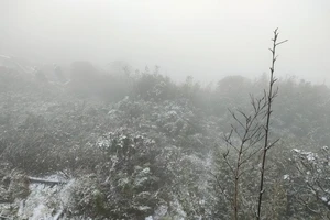 Từ mùng 3 Tết, miền Bắc rét đậm, vùng núi khả năng có mưa tuyết, băng giá