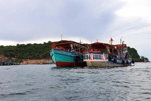 Hội Nghề cá Việt Nam phản đối Trung Quốc cấm đánh bắt cá ở Biển Đông