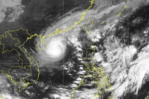 Nắng nóng giảm dần, Biển Đông khả năng sắp có bão