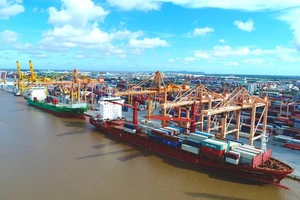 Hãng tàu, cảng biển... kêu cứu vì bị cắt điện liên tục