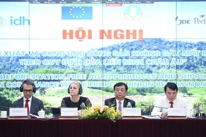 Cà phê Việt vào thị trường Châu Âu phải không gây mất rừng