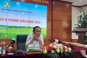 Thứ trưởng: Nhiều tàu chỉ có 'hồi ký' chứ không phải 'nhật ký'