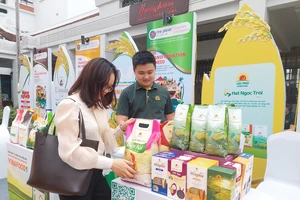 Thủ tướng yêu cầu thúc đẩy sản xuất, xuất khẩu gạo