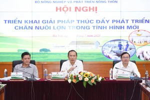 Thứ trưởng: 'Ngày nào cũng thịt heo luộc với kho tàu thì làm sao ăn hết được”