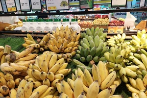 Cảnh báo nhiều lô hàng chuối, xoài, sầu riêng... vi phạm về kiểm dịch thực vật