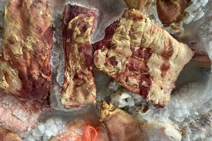 Hàng tấn thịt heo không đảm bảo an toàn trong kho của 1 tiểu thương