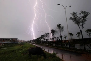 Ra mắt hệ thống cảnh báo sớm dông sét, mưa lũ