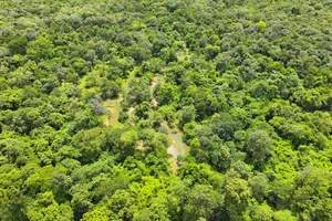 700 ha rừng sẽ được chuyển đổi làm đường giao thông, thuỷ điện, sân golf...