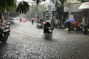 Cảnh báo rét đậm, rét hại khi mới bước vào mùa đông