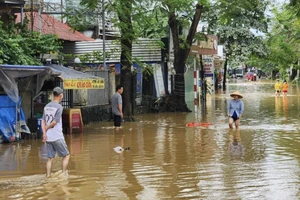 Các tỉnh từ Quảng Trị đến Khánh Hoà có mưa to đến rất to