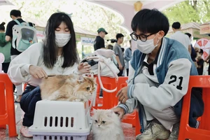 Chưa nhất trí về lập hiệp hội cắt tỉa tạo mẫu lông thú cưng 