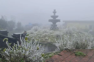 Thủ tướng yêu cầu chủ động ứng phó với rét hại ở miền Bắc