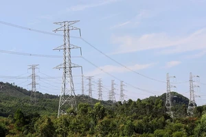 Gỡ vướng đường dây 500 kV mạch 3: Bộ NN&PTNT trình dự thảo nghị định về tạm sử dụng rừng