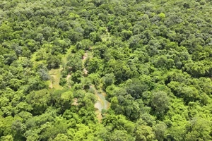 Ngân hàng thế giới muốn mua thêm 1 triệu tấn CO2 của Việt Nam với giá 5 USD/tấn