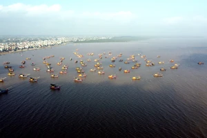 Thủ tướng yêu cầu rà soát thiết bị giám sát hành trình tàu cá 