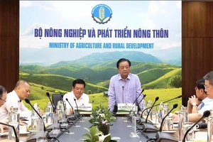 Đề xuất lập Hội đồng lúa gạo quốc gia