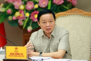 Bản dự thảo mới nhất về thị trường carbon tại Việt Nam 