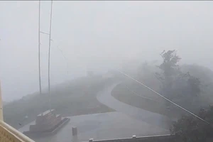 Cảnh báo: Người dân 5 tỉnh ven biển tuyệt đối không ra ngoài khi bão số 3 ảnh hưởng trực tiếp
