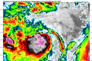 Bão Trà Mi sẽ liên tục tăng cấp sau khi vào Biển Đông