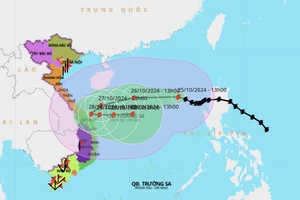 Video: Dự báo bão Trà Mi gây mưa lớn cho các tỉnh Trung Trung Bộ 