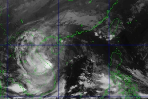 Bão Trà Mi giật cấp 12 cách Đà Nẵng 100 km, mưa to bao phủ Trung Trung Bộ