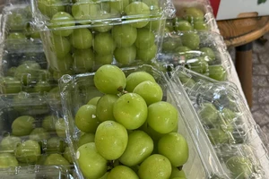 Kết quả kiểm tra nho sữa Trung Quốc nhập khẩu vào Việt Nam