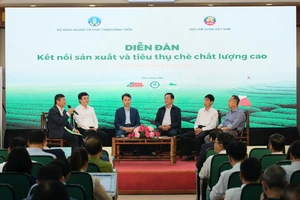 Đây là lí do chè Việt Nam rơi vào 'bẫy giá rẻ' của thế giới