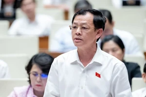 ĐBQH: ‘Quy định theo pháp luật liên quan thì không rõ là pháp luật nào?’