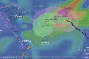 Bão số 8 đang suy yếu nhanh, có thể tan trên biển