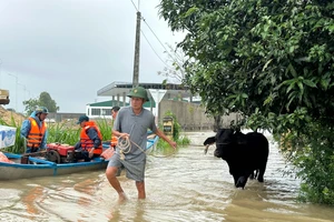 Bộ Quốc phòng huy động thiết bị bay không người lái khảo sát nơi có nguy cơ sạt lở