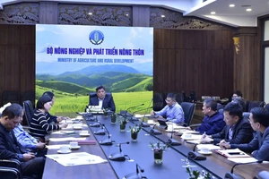 Bộ NN&PTNT họp với Đắk Lắk về vụ giá đỗ có chất cấm