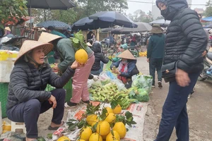 Giá trái cây tăng đến mức nào trong dịp Tết Nguyên đán 2025?