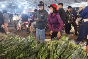 Chợ Hà Nội ngày 28 Tết: Giá hoa ly tăng mạnh 800.000 đồng 1 bó 