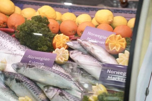 Xuất khẩu hải sản Na Uy sang Việt Nam lập kỷ lục mới 