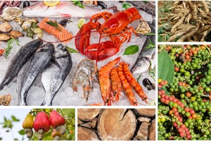 Xuất khẩu nông lâm thuỷ sản sang Châu Phi tăng 105%