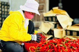 Chanh leo, ớt, tổ yến... Việt Nam xuất khẩu chính ngạch vào Trung Quốc