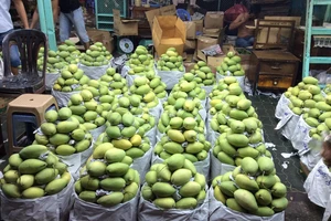 Bộ Công Thương cảnh báo về 1 doanh nghiệp trái cây Trung Quốc bị điều tra